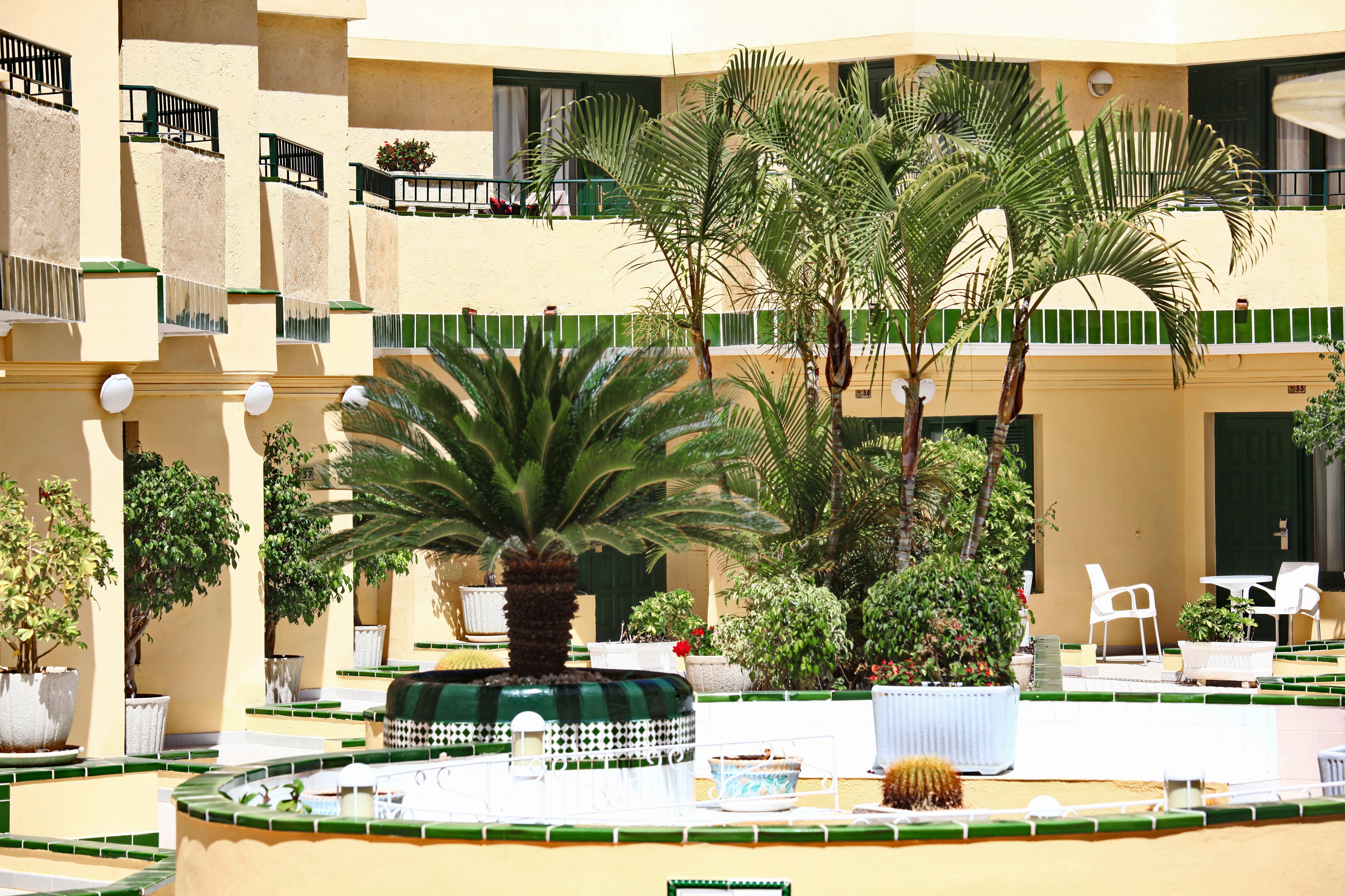 Alegria Barranco Aparthotel Playa de las Americas  Ngoại thất bức ảnh